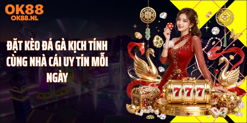 Đặt kèo đá gà kịch tính cùng nhà cái uy tín mỗi ngày