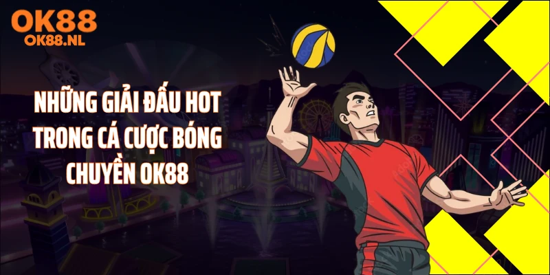 Những giải đấu hot trong cá cược bóng chuyền OK88