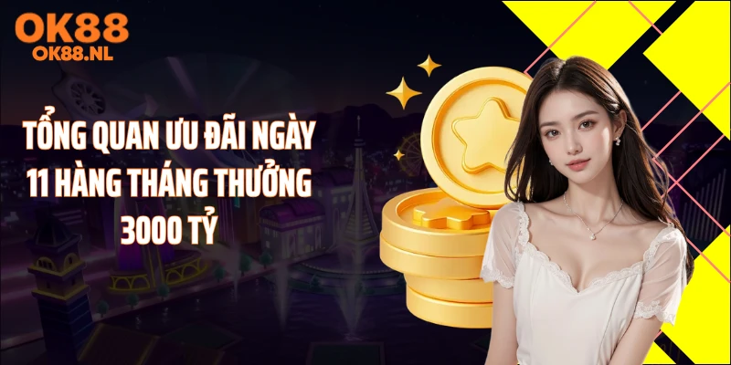 Tổng quan ưu đãi ngày 11 hàng tháng thưởng 3000 tỷ